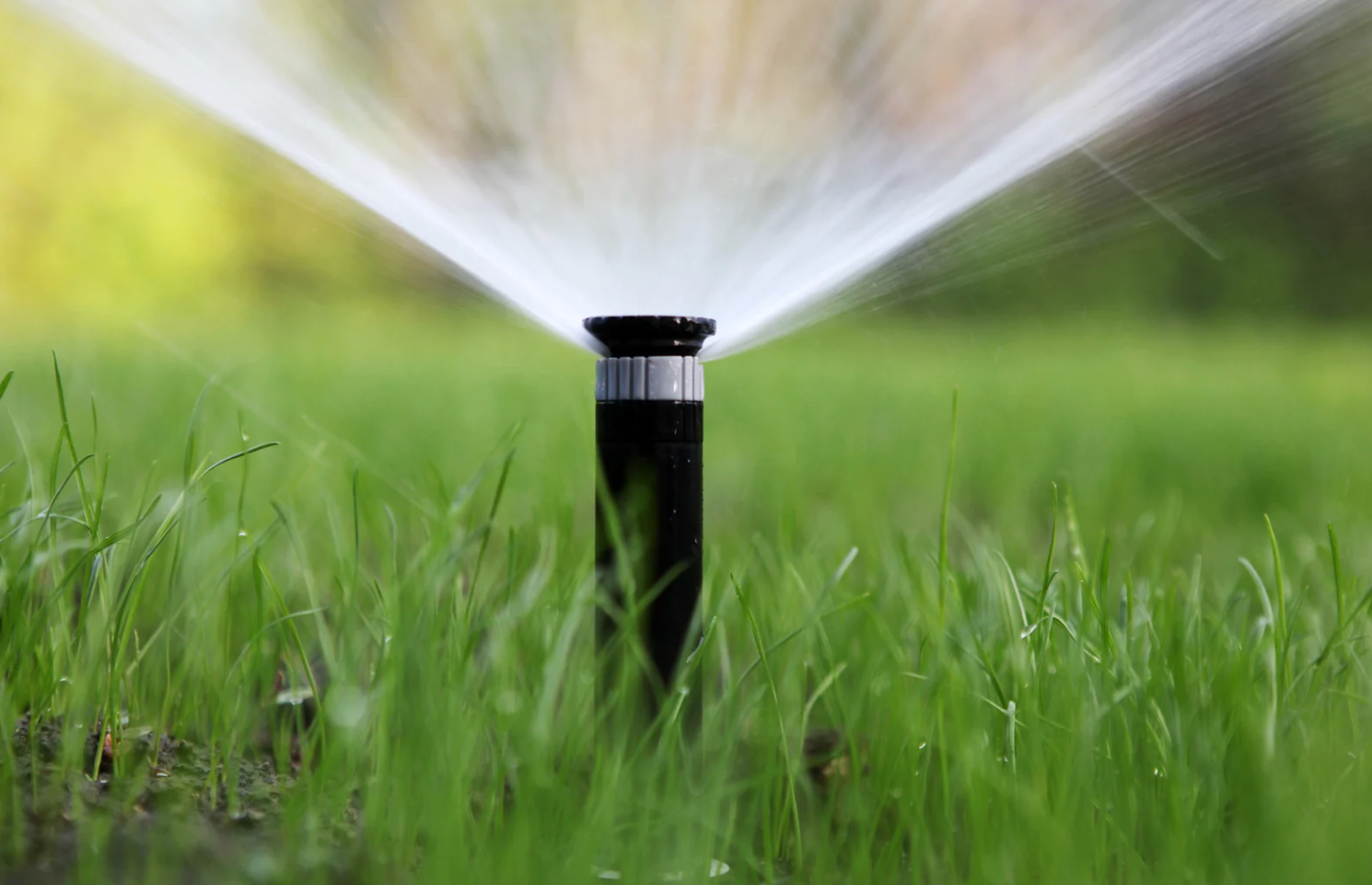 Sprinkler spraying water onto green grass in a sunny garden.