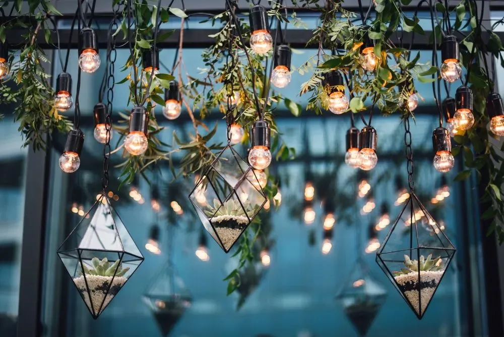 A Bunch of Lights Hanging From The Ceiling With Plants — Event Hire in Wodonga, NSW