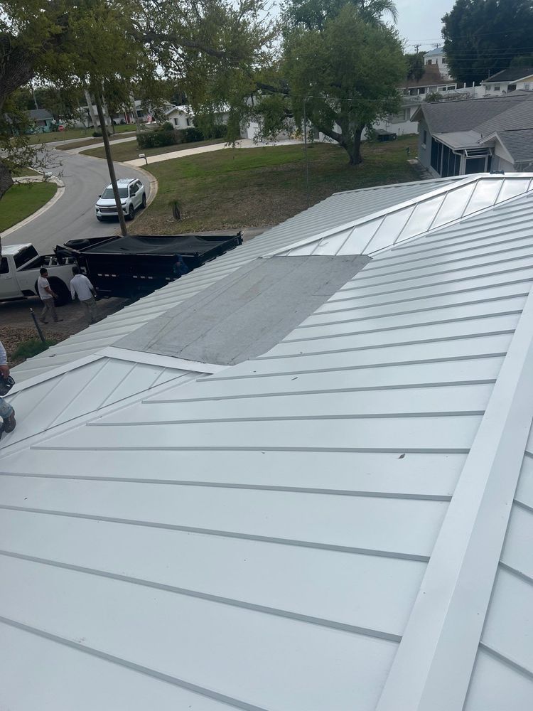 White metal roof with a skylight panel, viewed from above over a suburban street with trees and parked cars