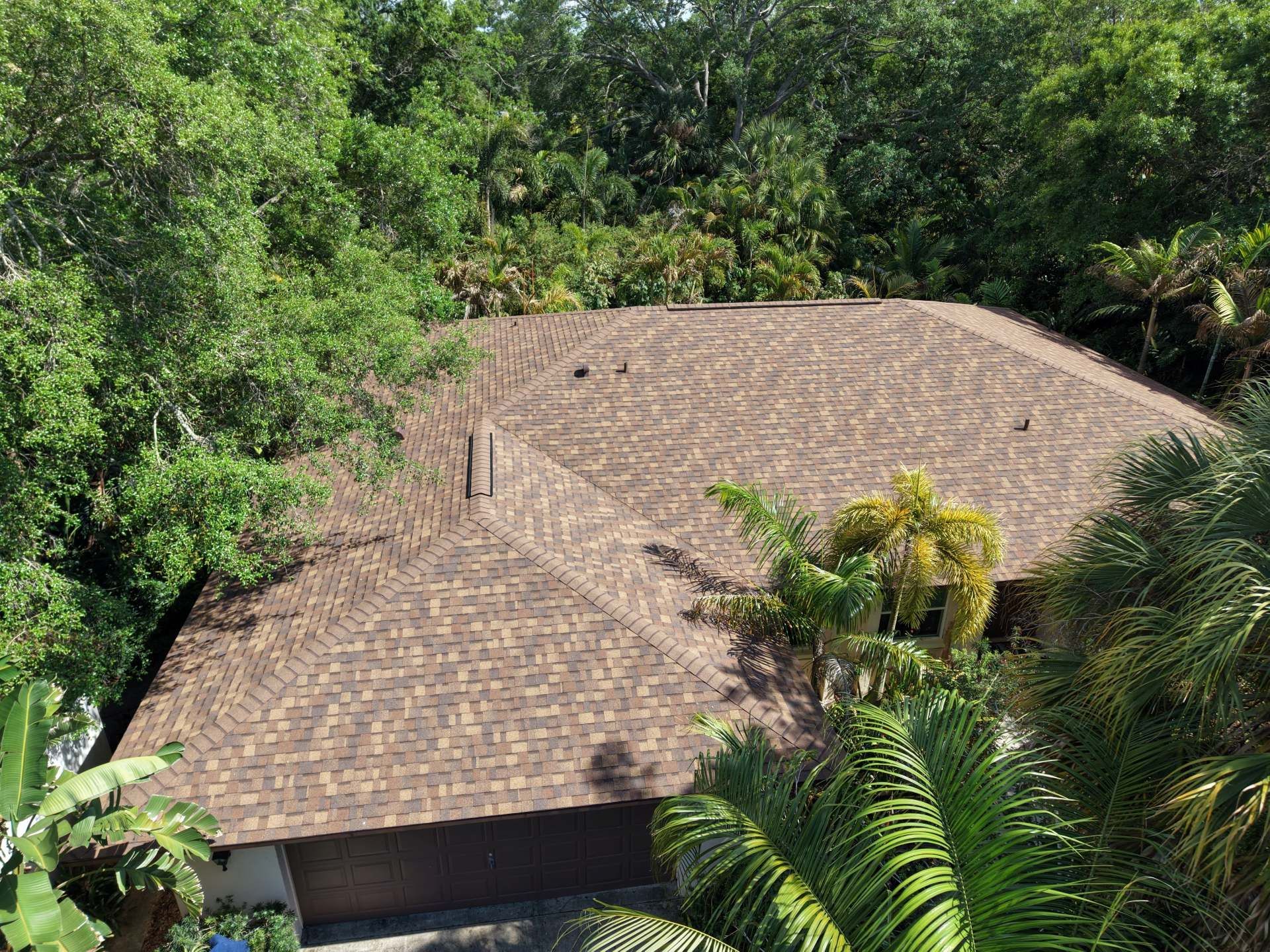 Thatched-roof house surrounded by dense green tropical foliage
