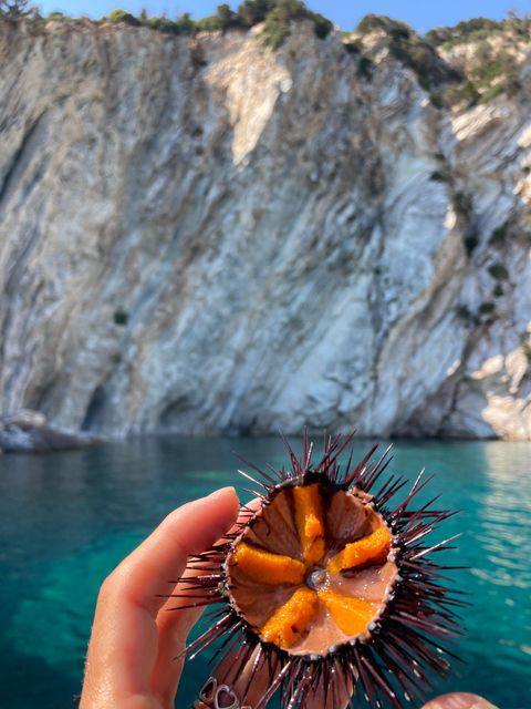 pesce appena pescato su barca