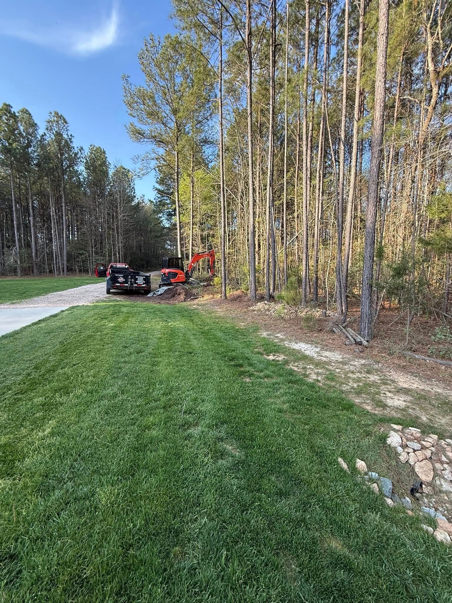 ATV on a grassy roadside beside tall trees and a dirt path under a blue sky