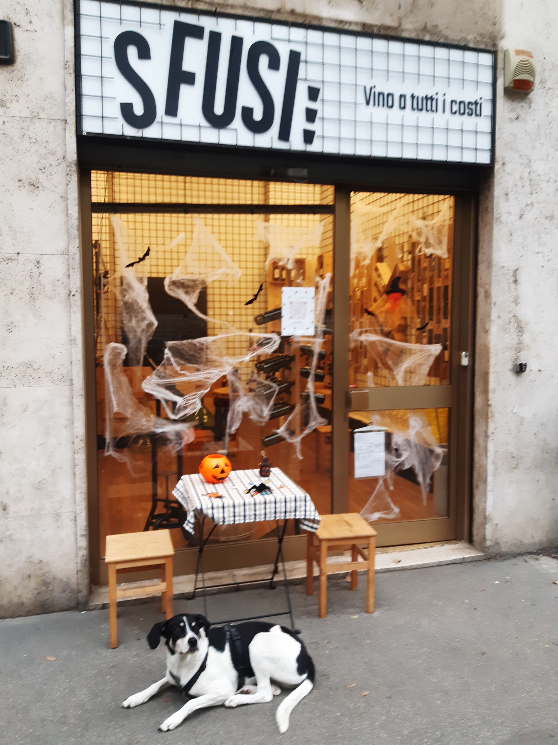 Sfusi Milano foto 1