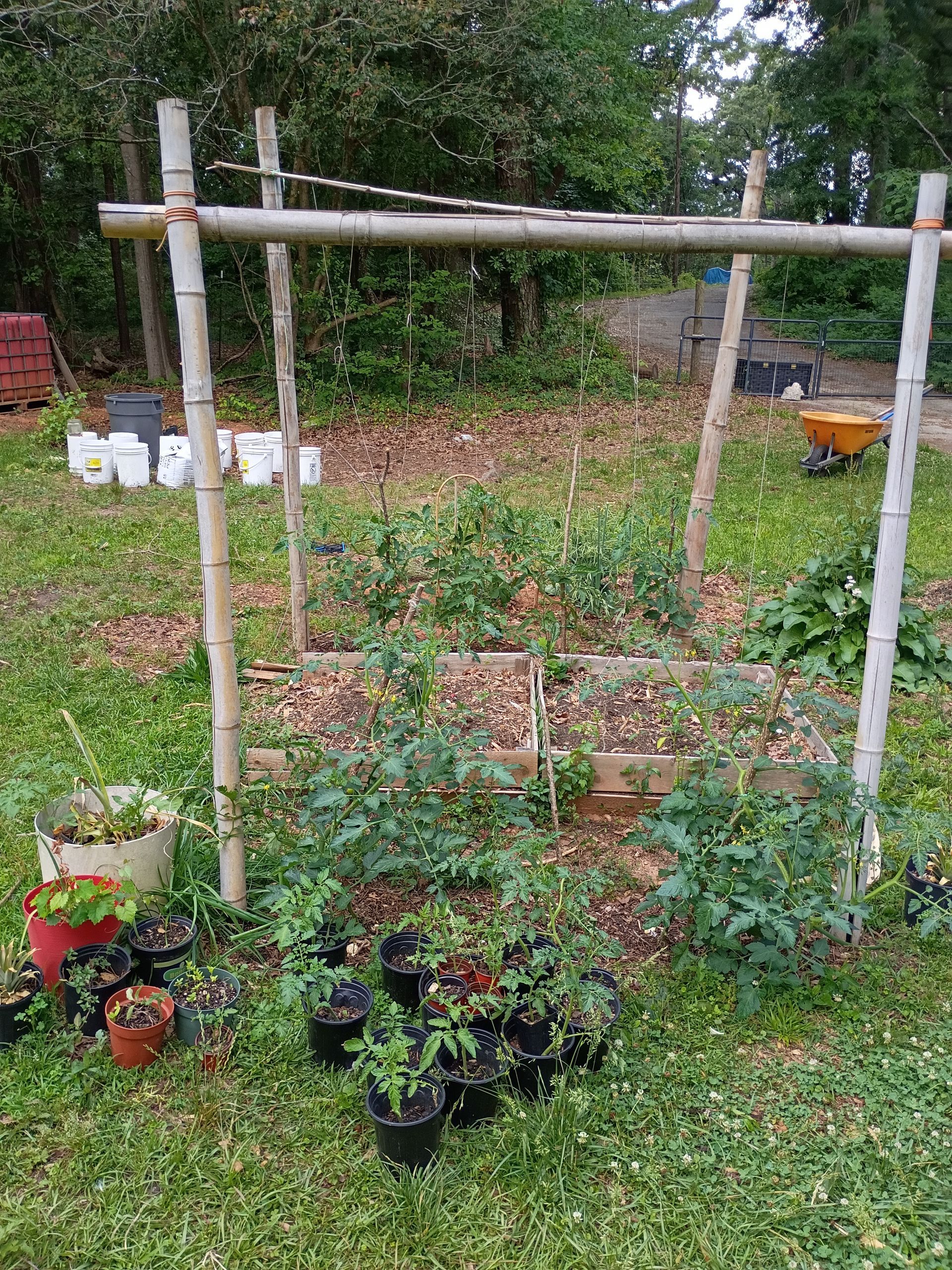 ROOTS unity garden installation atlanta