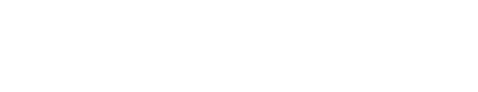 Blank white image.