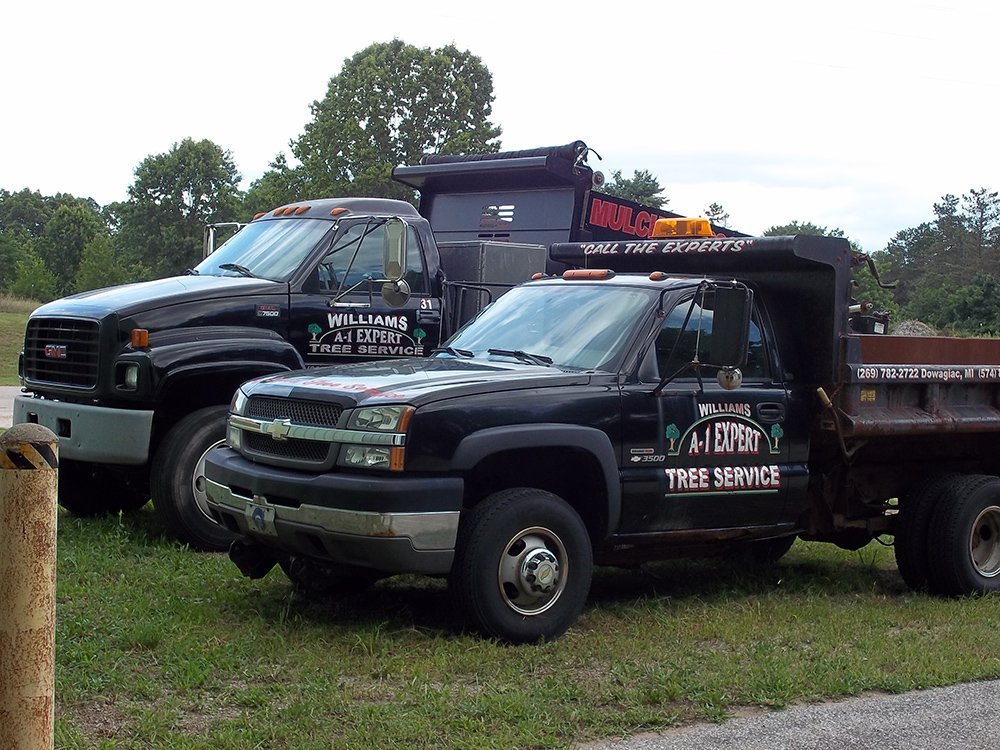 Tree Care Company Dowagiac, MI Williams A1 Expert Tree Service