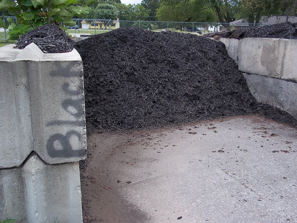 Tree Care Company Dowagiac, MI Williams A1 Expert Tree Service