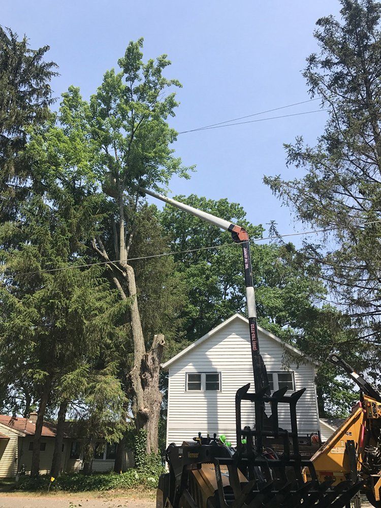 A house with a crane — Dowagiac, MI — Williams A-1 Expert Tree Service