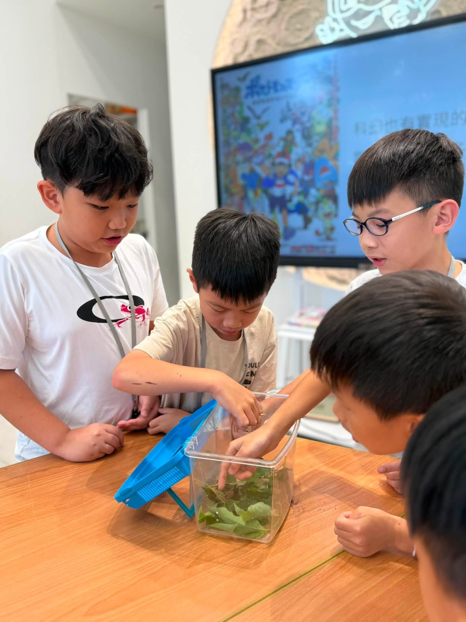金牌躍騰教育集團
