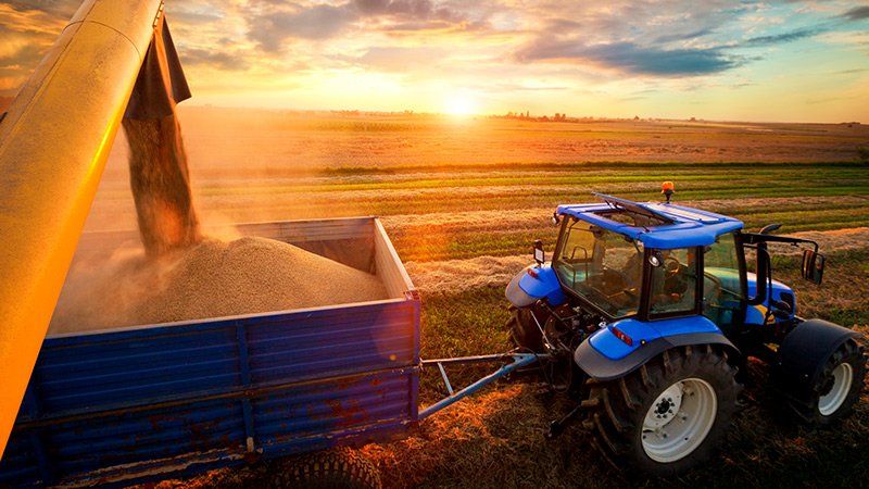 Agriculture Lawyers in Billings, MT