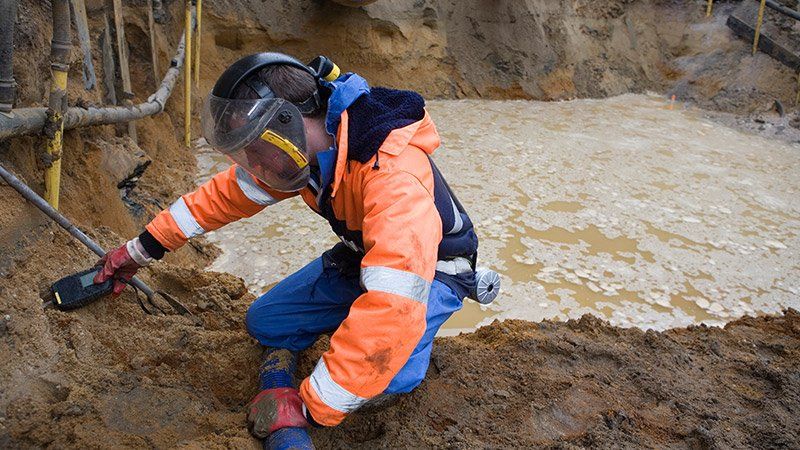 Environmental Litigation Lawyer