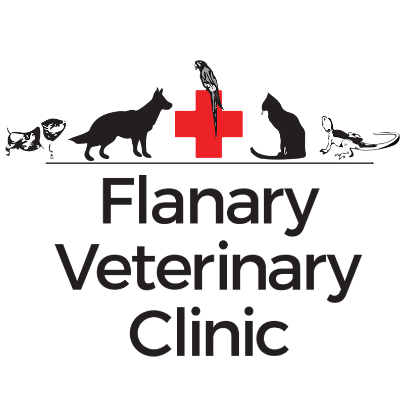 Flanary Veterinary Clinic