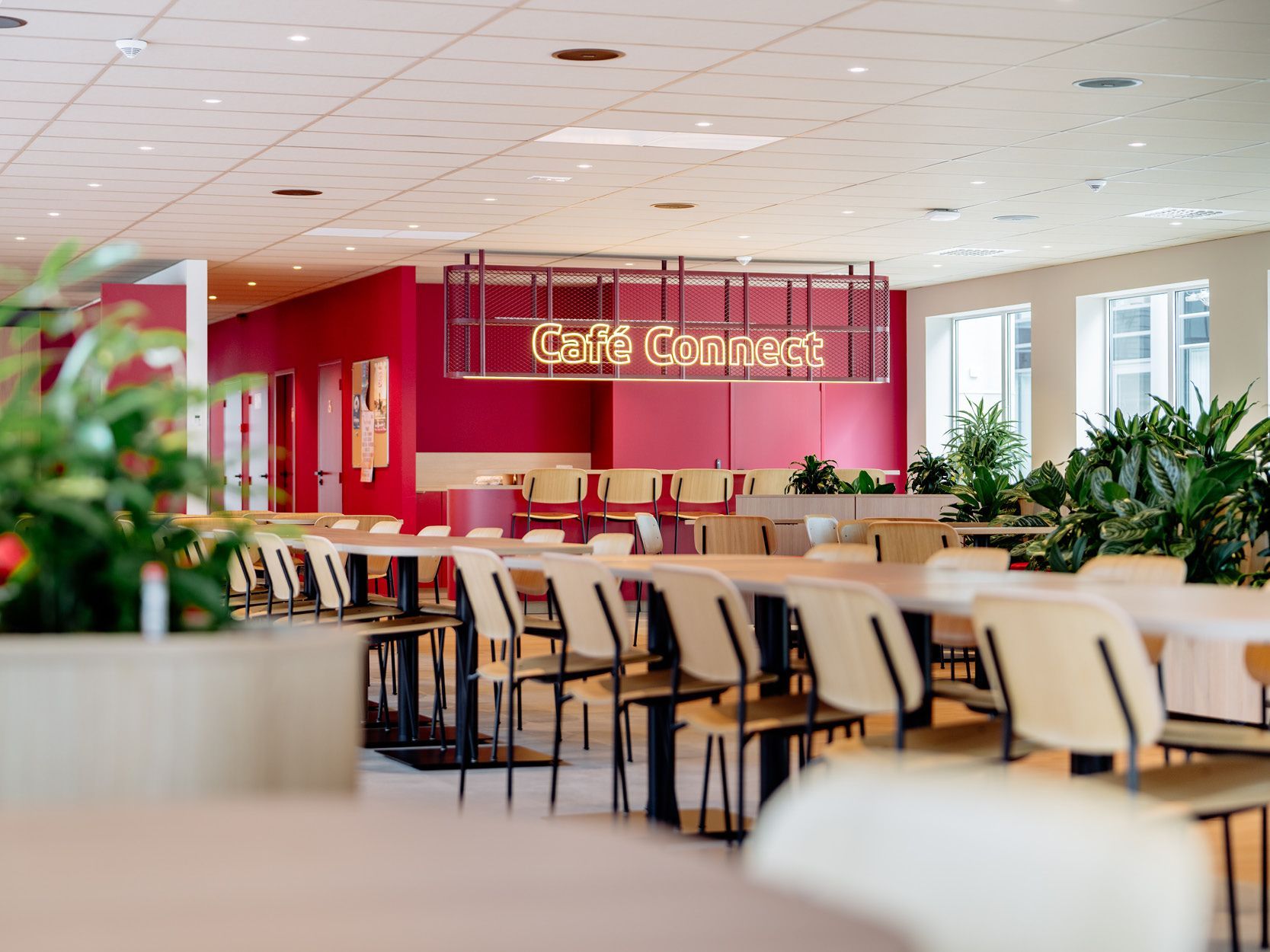 Lichte café-lounge met rode muren, beige stoelen en planten onder een verlicht