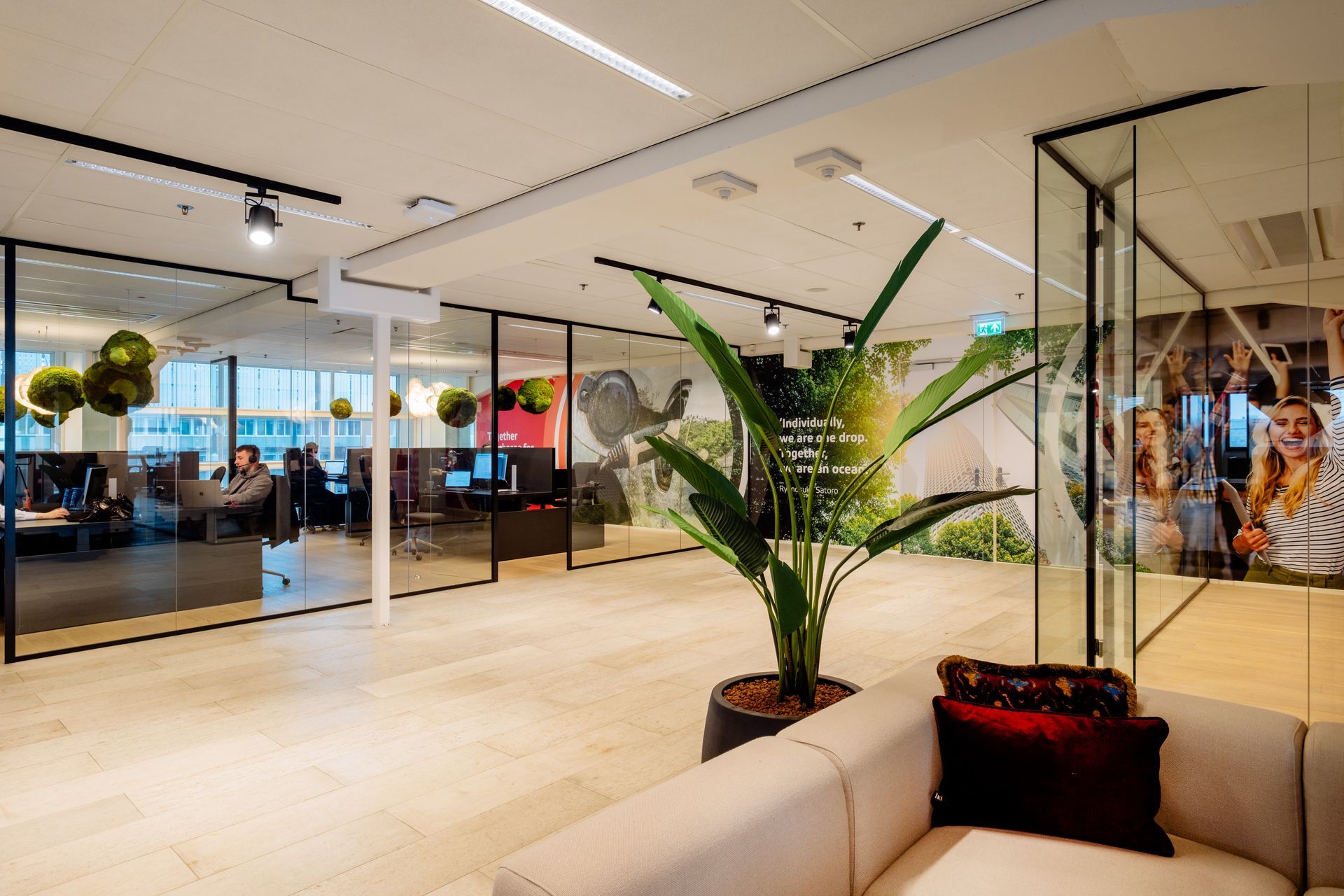 Modern office lounge with a white sofa, large potted plant, glass partitions, and a view into a meeting area