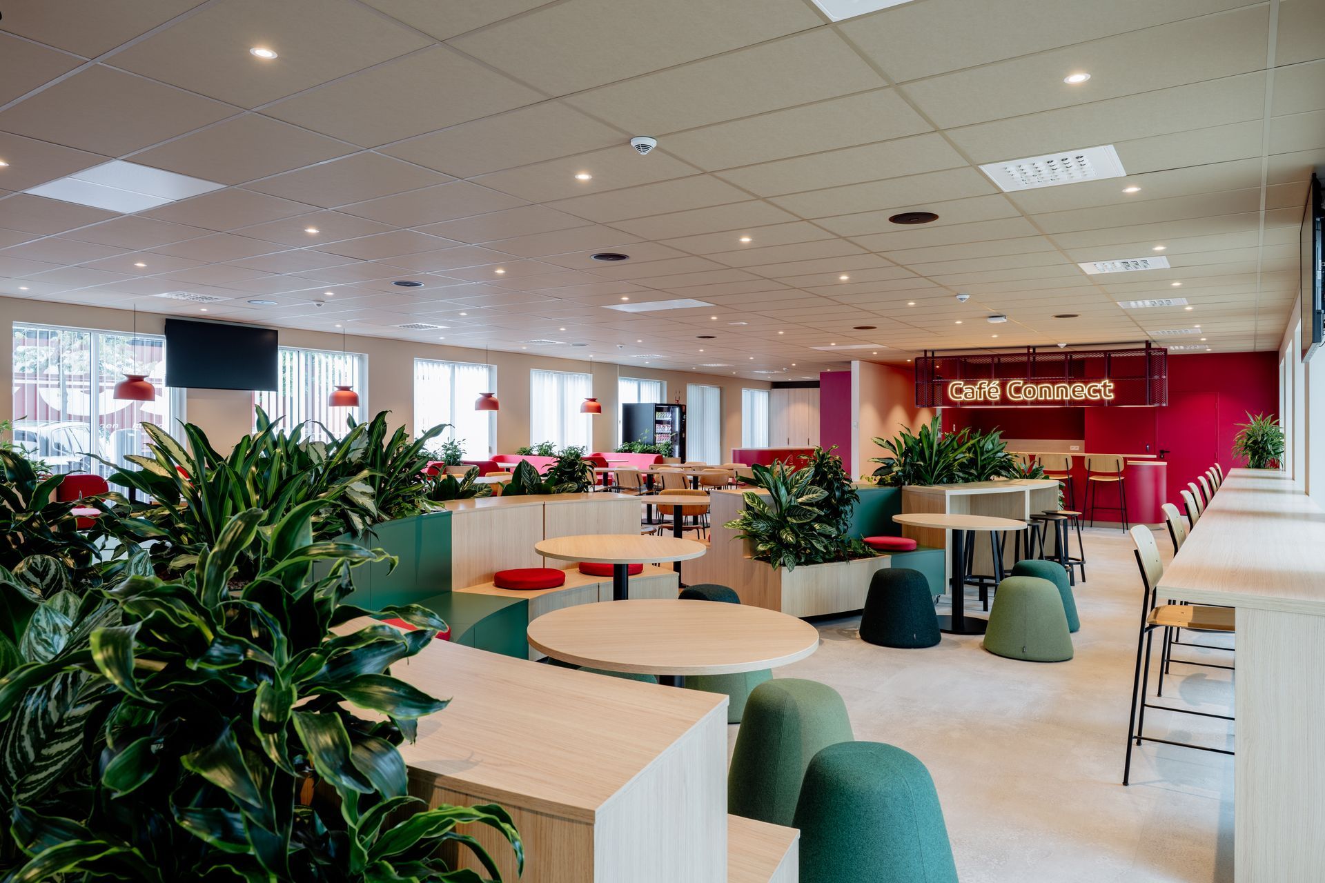 Moderne kantoorlobby van Eneco Belgium met rode zitmeubels, potplanten, kunst aan de muur en een persoon die op een bankje bij grote ramen zit.