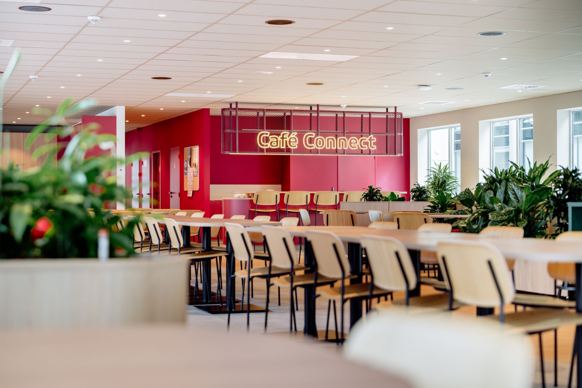 Modern werkcafé-interieur met witte stoelen, planten en een rood muurbord met de tekst Café Connect- Eneco Belgium
