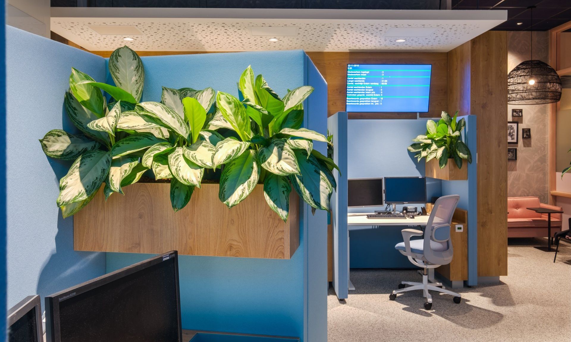 Modern kantoor met blauwe werkplekken en grote groene planten in een lichte gang.