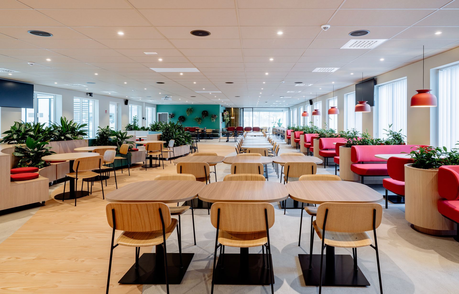 Na verbouwing: Licht en modern open werkcafé met houten tafels, rode loungestoelen en grote ramen.