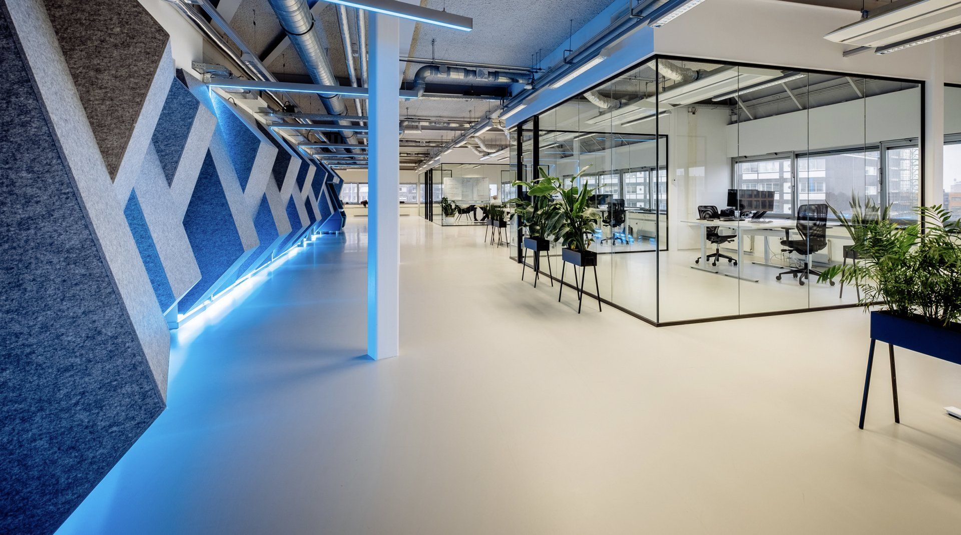 Na verbouwing: Een modern, open kantoor met een blauw verlichte geometrische wand, glazen vergaderruimtes en kamerplanten in het nieuwe kantoor van Shypple in Rotterdam, interieurontwerp voor KuóStudio