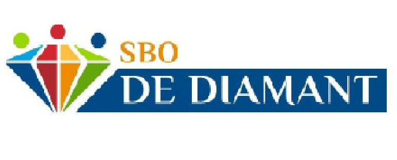 SBO De Diamant logo