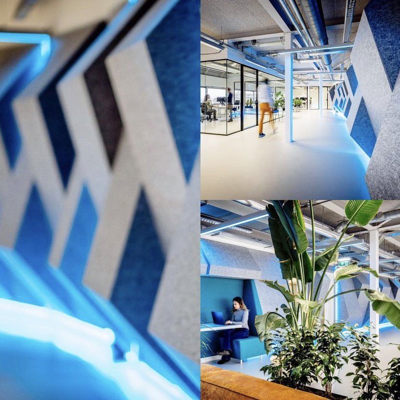 Modern kantoorinterieur met blauwe akoestische wandpatronen, ledstripverlichting, een open plattegrond en een groene plantenhoek. Uitvoeringsbegeleiding Interieurontwerp