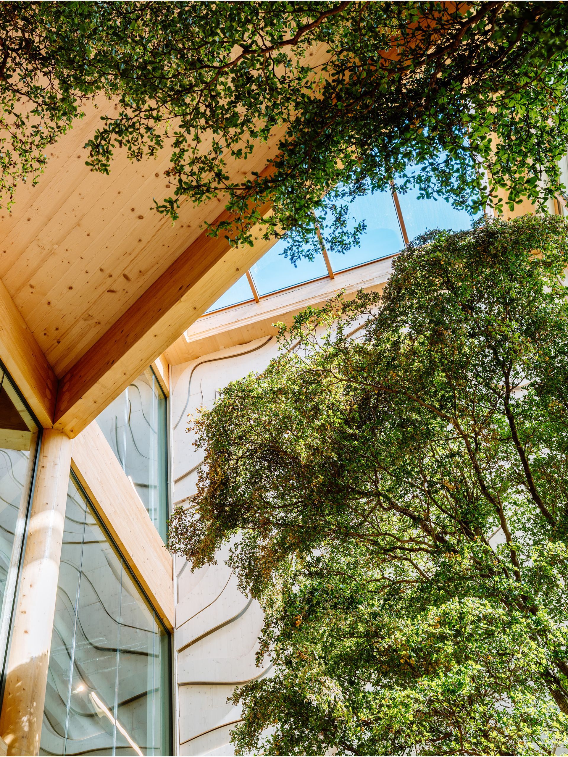 Biophilic kantoor interieurontwerp, grote bomen in een kantoor interieur