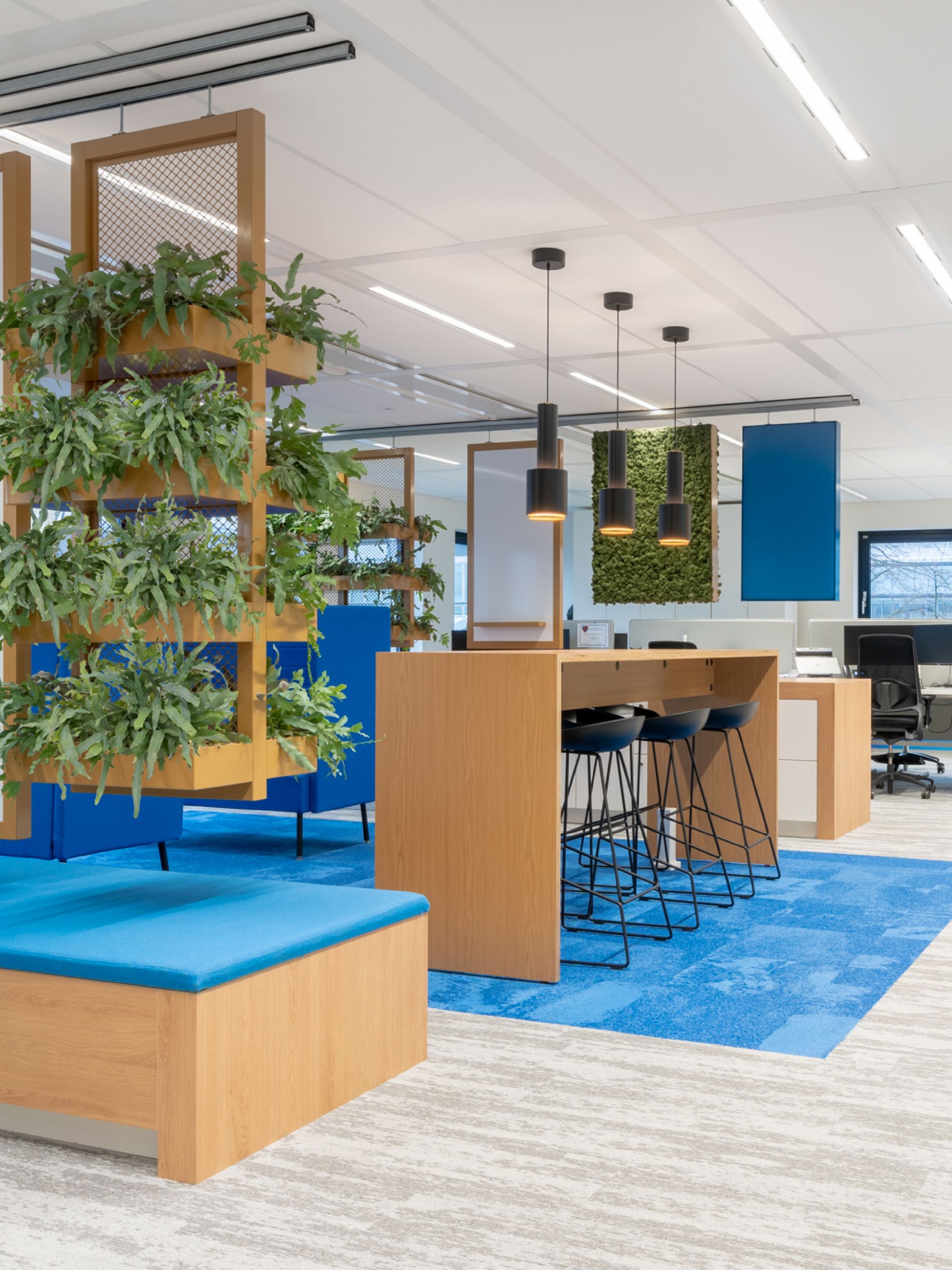 Moderne kantoorlounge met blauwe vloerkleden, houten meubels, planten en hoge krukken onder hanglampen.