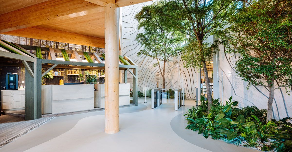Bright office lounge with carpeted seating area, shelves, potted tree, and a person walking through the space.