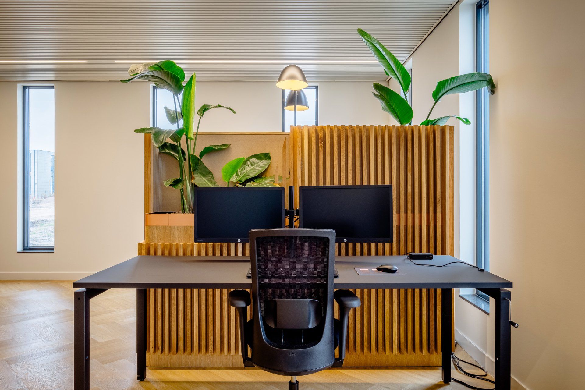 Modern office workstation with two monitors, black chair, wood slat divider, and green plants