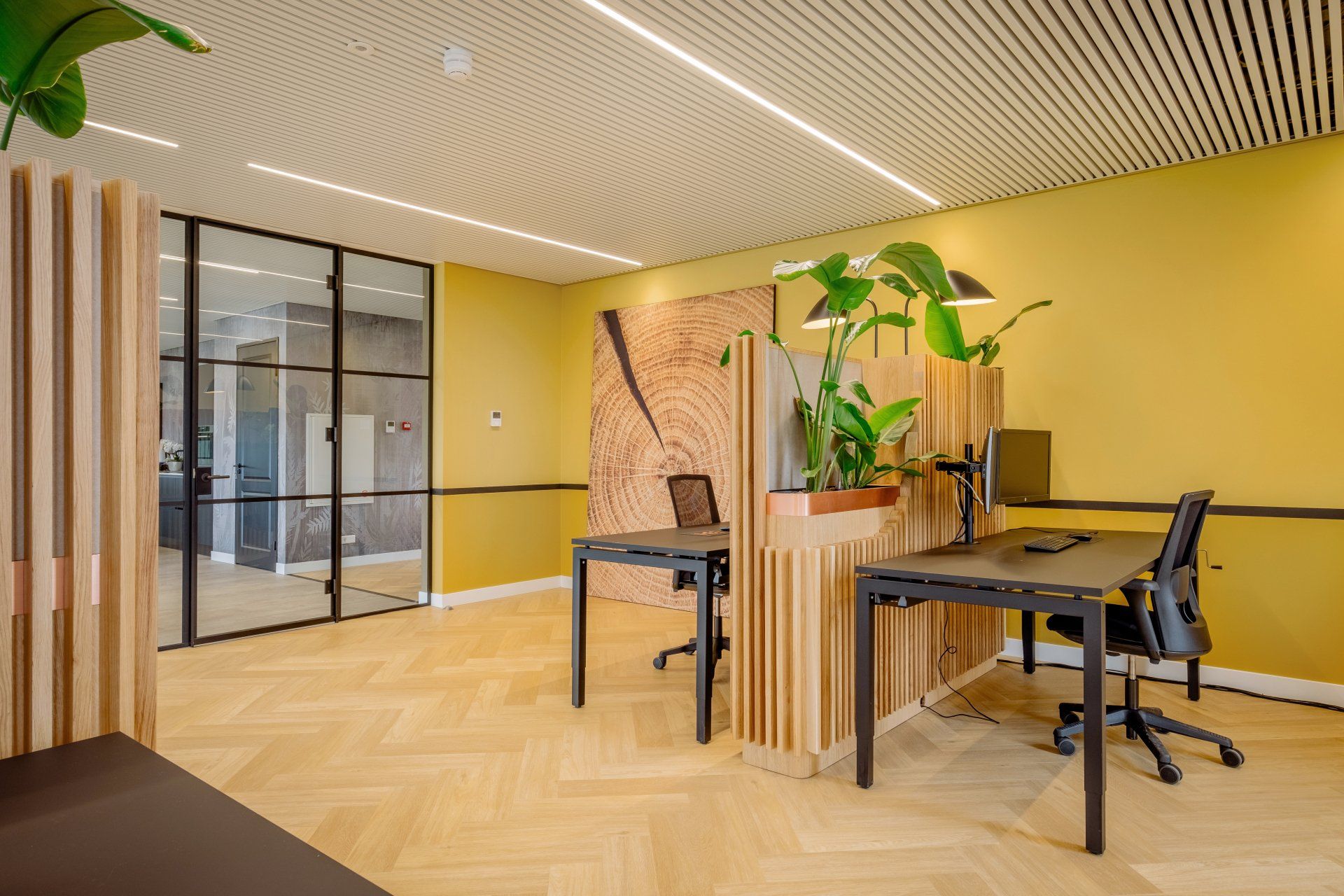 Modern kantoorinterieur van EBH Legal in Naaldwijk met twee bureaus met zwarte stoelen, gele muren en een visgraatvloer. KuóStudio ontwierp het interieur en maatwerkonderdelen