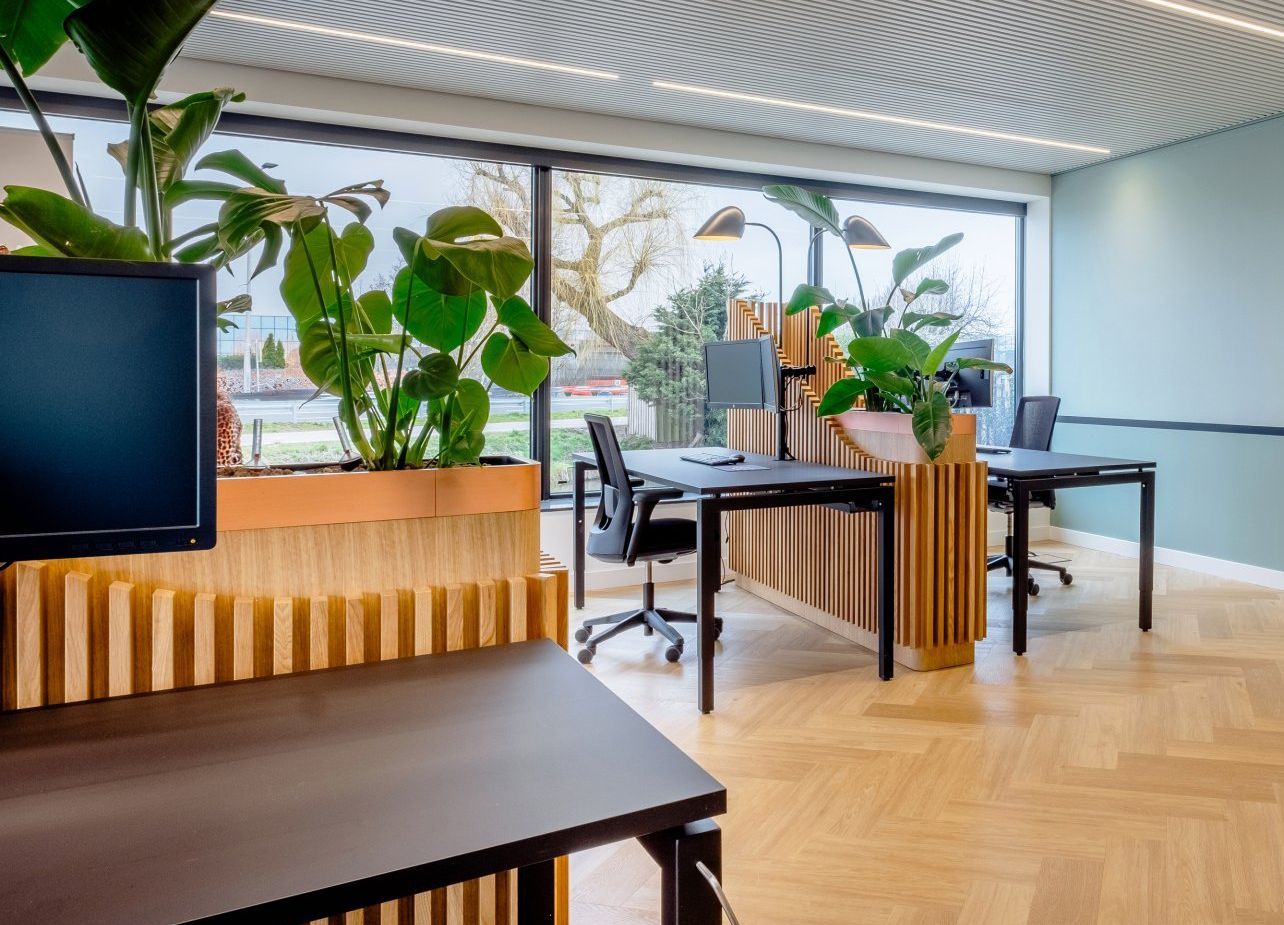 Moderne kantoorlounge met bureaus, zwarte stoelen, grote planten en ramen van vloer tot plafond in Naaldwiijk