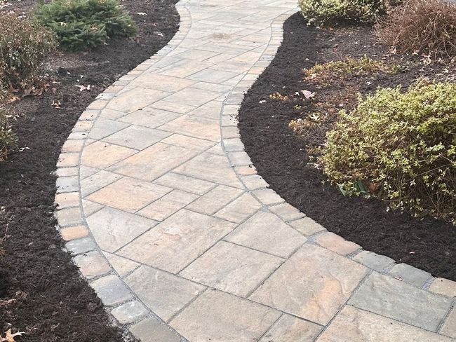 A curved walkway surrounded by plants and bushes in a garden. A curved walkway surrounded by plants and bushes in a garden.