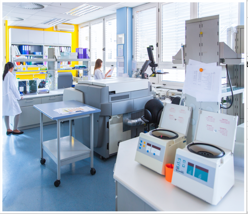 Bright laboratory with researchers, benches, and centrifuges under large windows