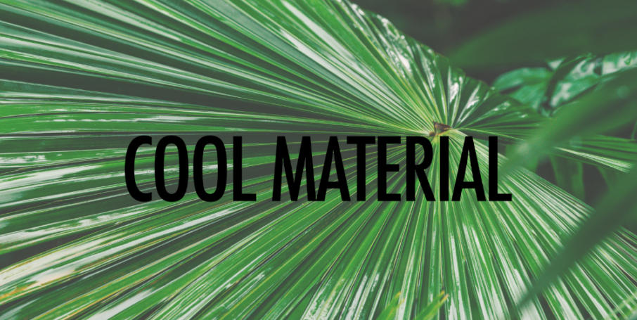 A close up of a palm tree leaf with the words `` cool material '' written on it.