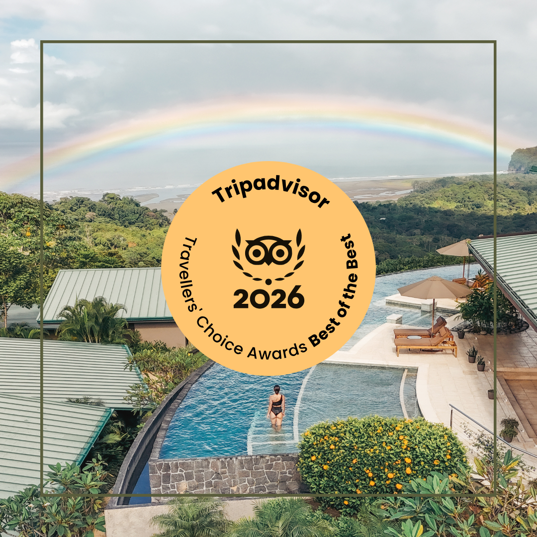 Tripadvisor 2026 Travelers' Choice Award badge over a resort pool and rainbow valley view