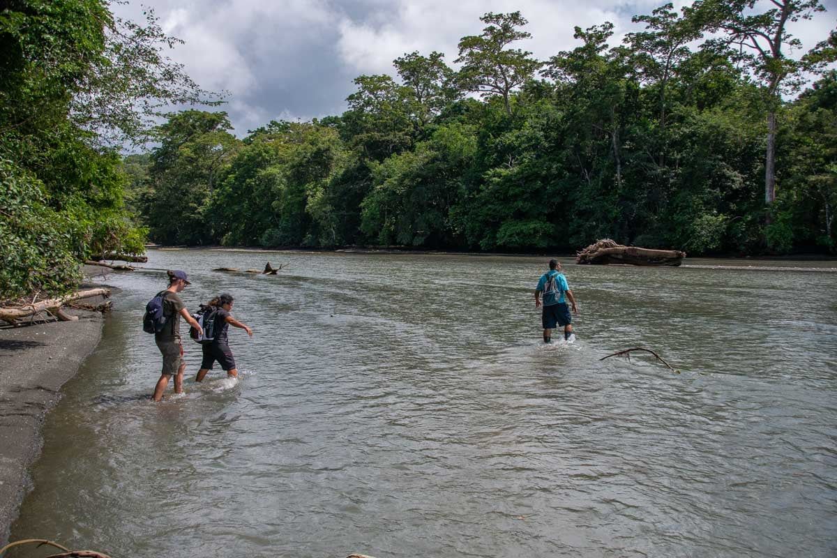 People wade across a shallow river in a lush forest under cloudy skies.