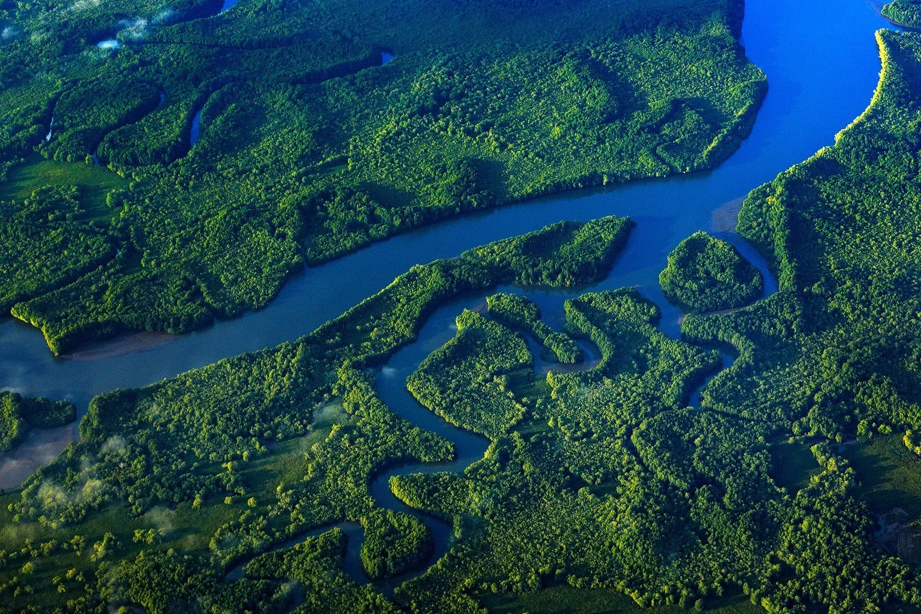 Aerial view of winding blue river channels through dense green forest.