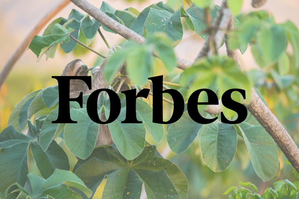 The forbes logo is on a tree branch with green leaves.