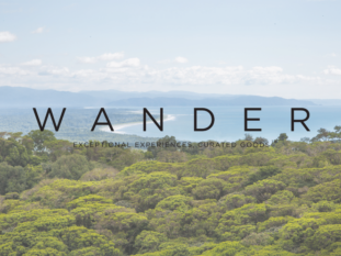 The word wander is on a picture of a forest