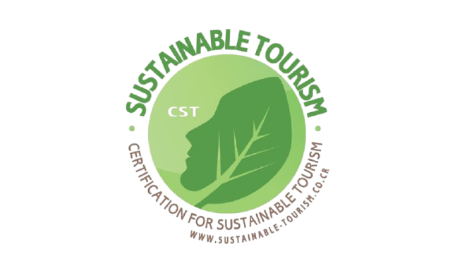 Green CST logo with a leaf-shaped human profile;