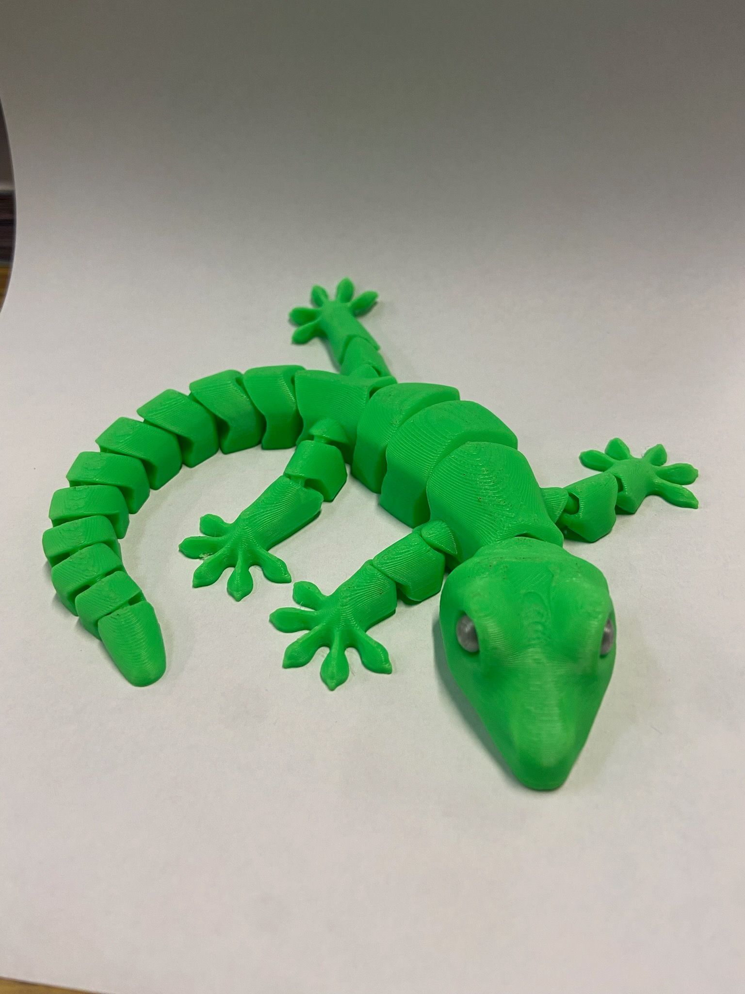 Lizard