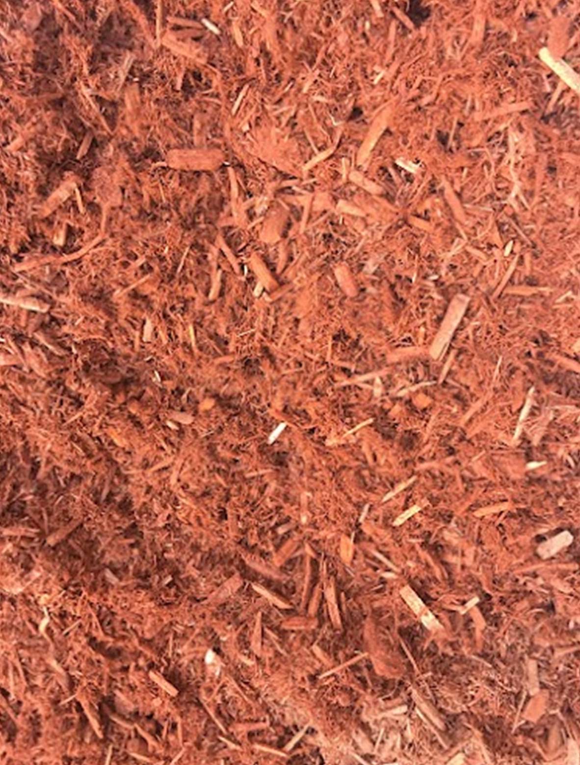 Ulluru Red Cypress