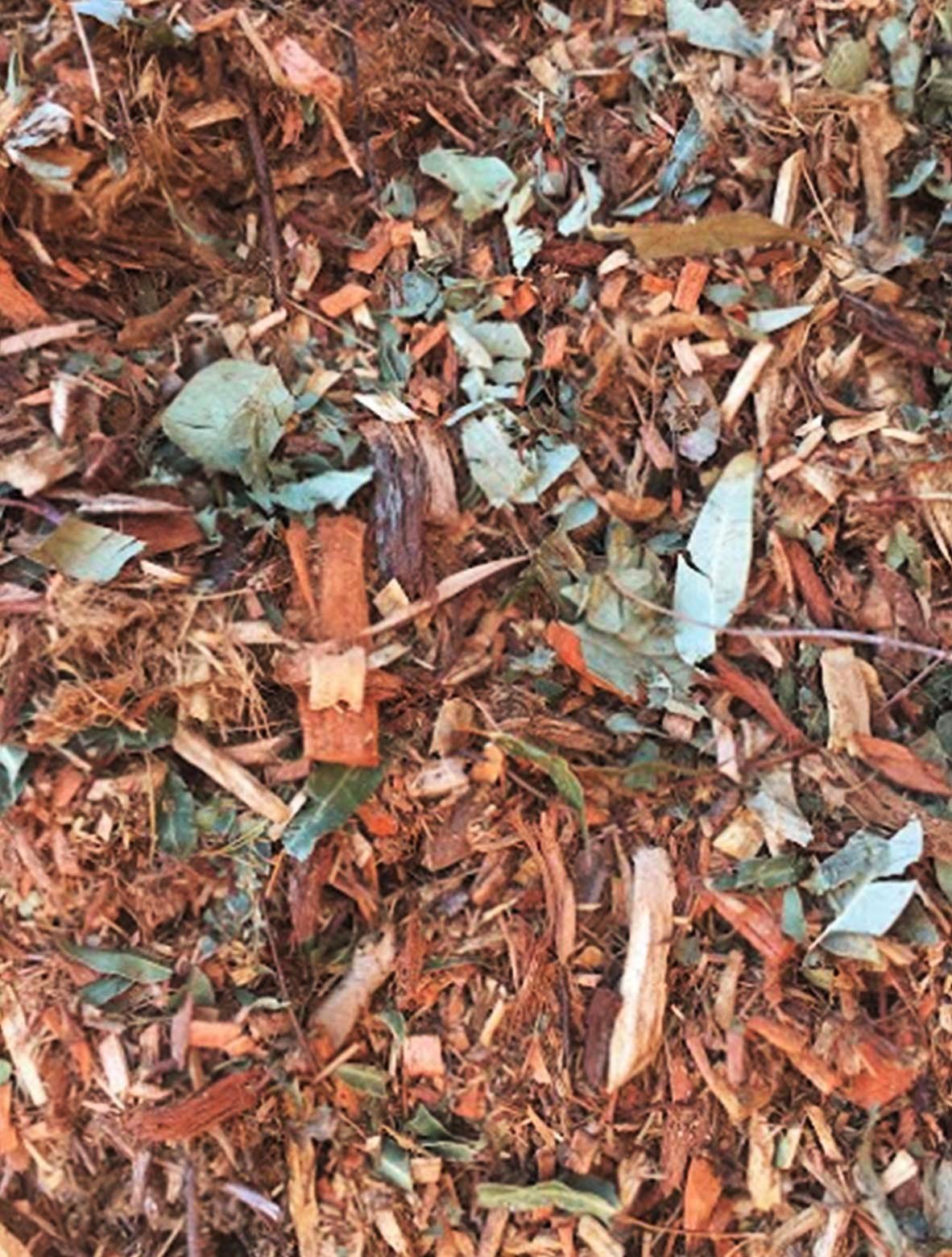 Forest Mulch