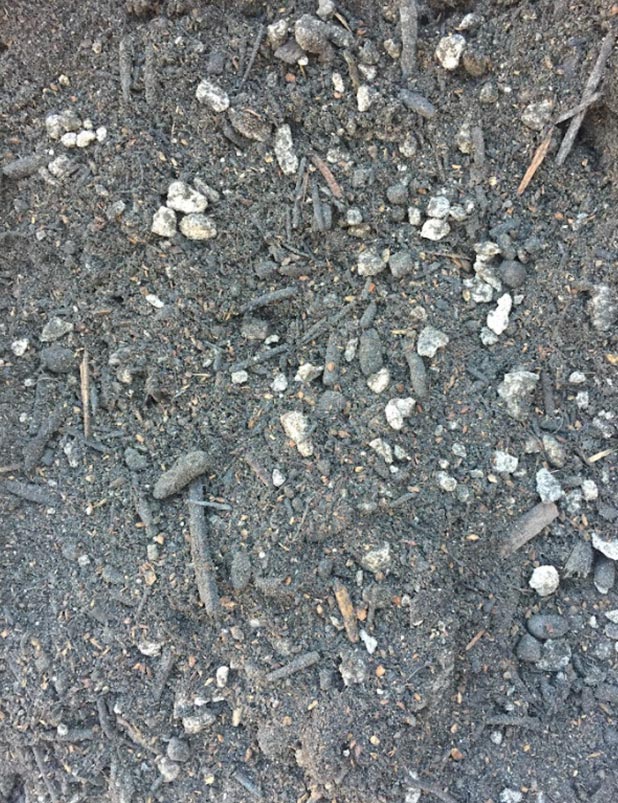 Organic Garden Soil Premium