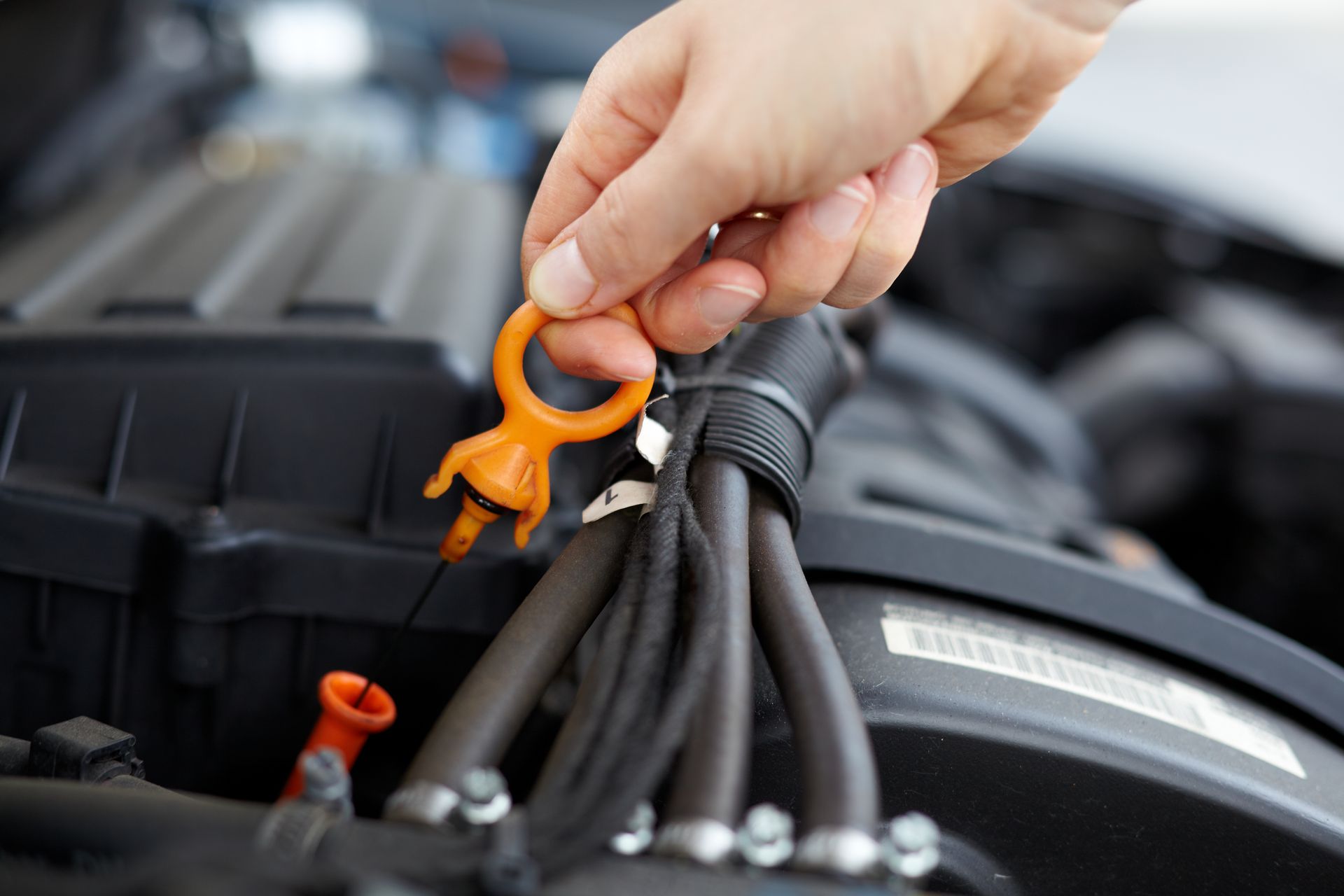 Person checks oil for an oil change, O'Fallon Garage, O'Fallon, MO