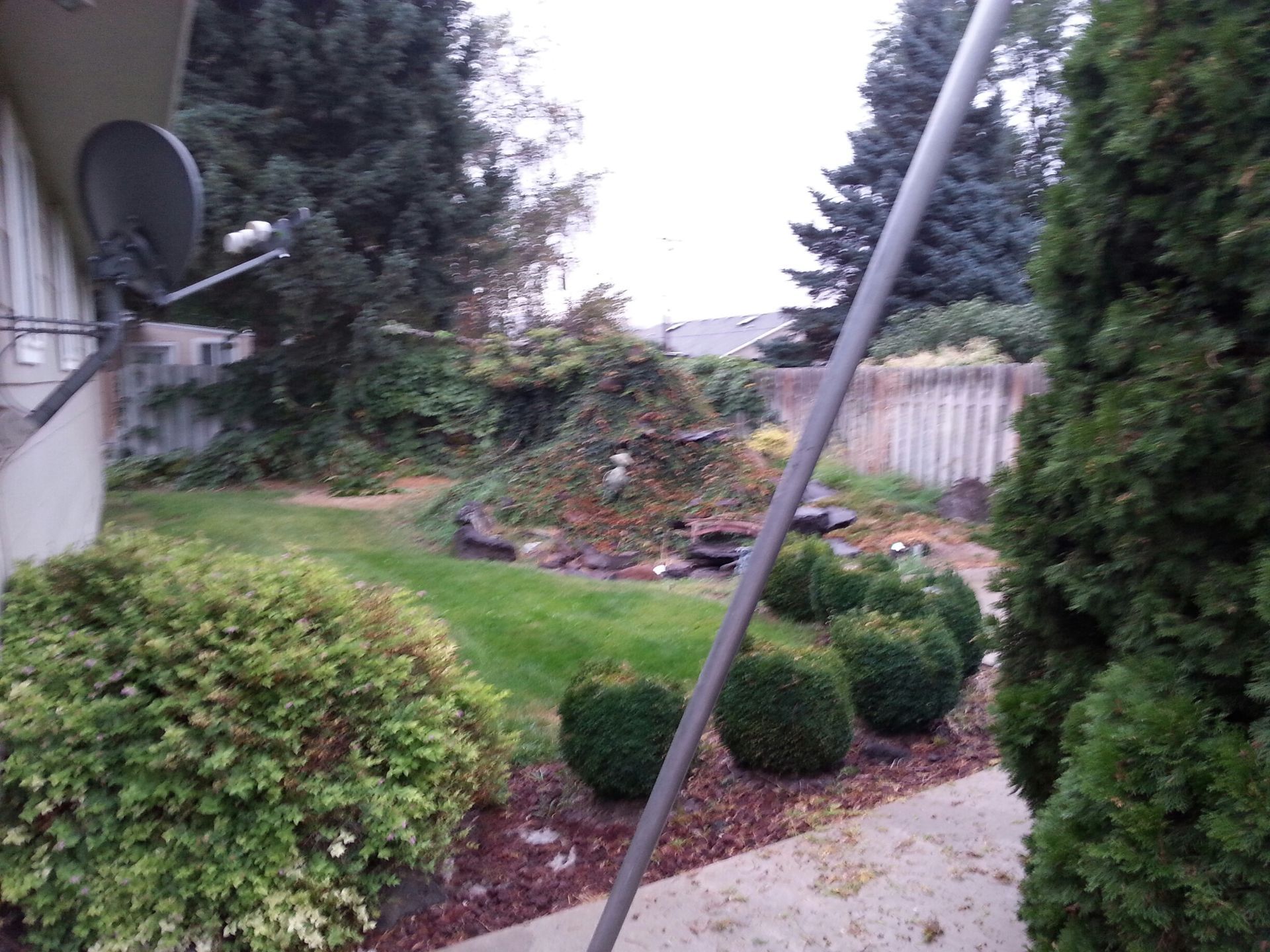 A backyard view with a central stone fountain, green lawn, rounded bushes, and a tall conifer tree under a cloudy sky.