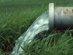 Water is coming out of a pipe in a field.
