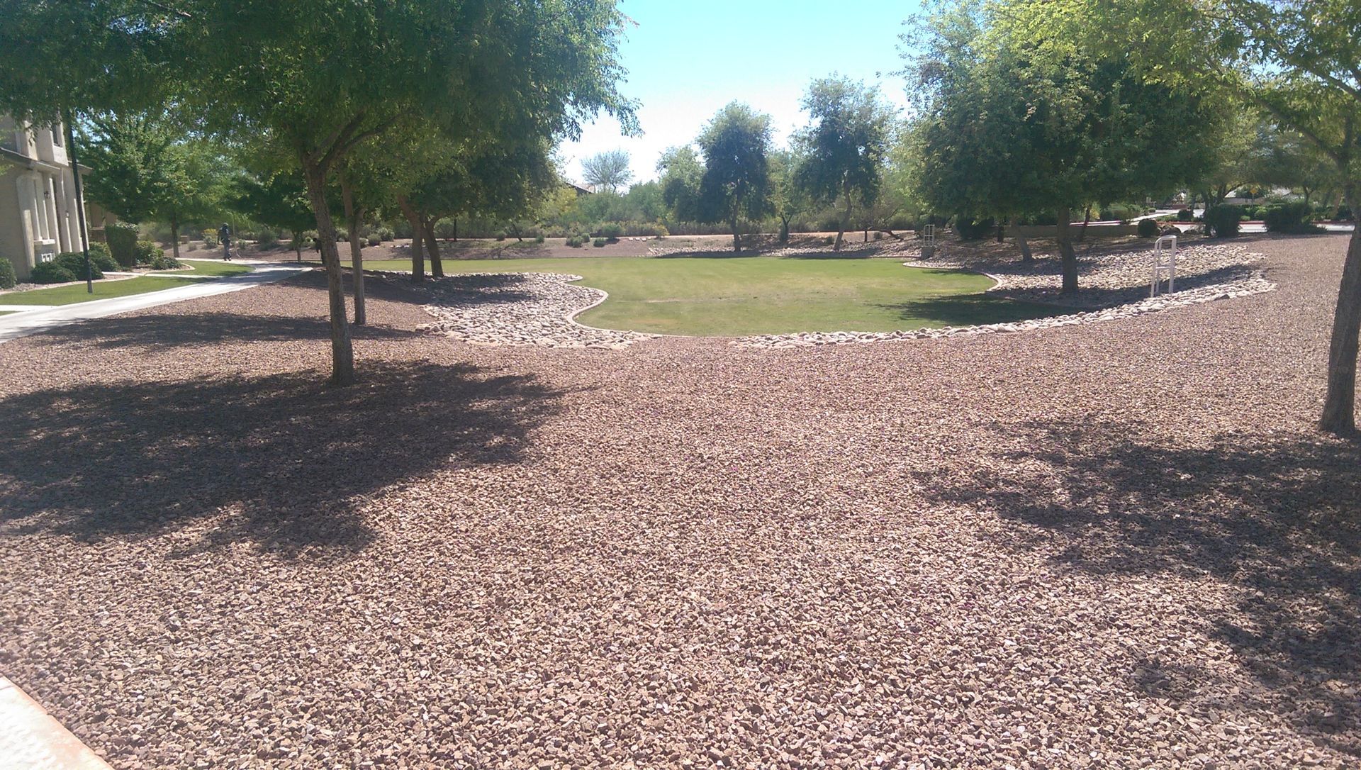 A park with a lot of mulch and trees