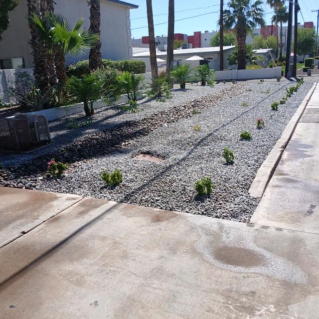 A gravel driveway with plants in the background