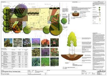 A drawing of a garden with trees and flowers